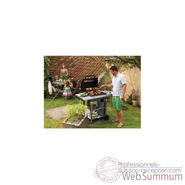 Barbecue c-line 1900 s Delorm Design
